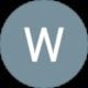Wang Will