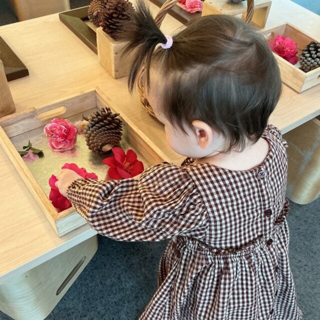 At Kindercare Wigram Skies, children’s spontaneous play gives us a wonderful glimpse into what captures their curiosity. 

They get to test ideas, ask questions, and deepen their understanding of the world at their own pace. This is how joyful moments of discovery grow into meaningful learning.

#learnthroughplay #earlylearningnz #kindercarenz