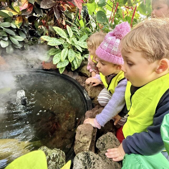Wonder and discovery in action!
At the Auckland Wintergardens, our Kindercare Grey Lynn preschool tamariki followed their curiosity as they explored the living world around them. Real-world experiences like these help build the confidence, independence, and sense of adventure needed for a successful transition to school and kura. #InspireMe #TheKindercareAdvantage "