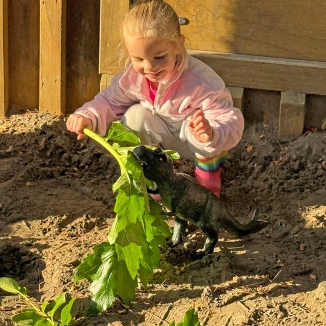 Our sandpit has come alive with dinosaurs at Kindercare Riccarton! We've made a space where our children can explore, imagine, and play 🦖. Through pretend play, they’re building curiosity and confidence as they test ideas, make discoveries, and learn in fun, hands-on ways.