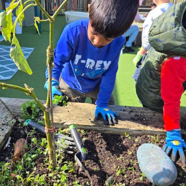 Time spent in the garden offers so much more than fresh air. As preschoolers tended to their garden with kaiako, they discovered that caring for Papatūānuku starts with small steps that anyone can do, no matter how old we are.