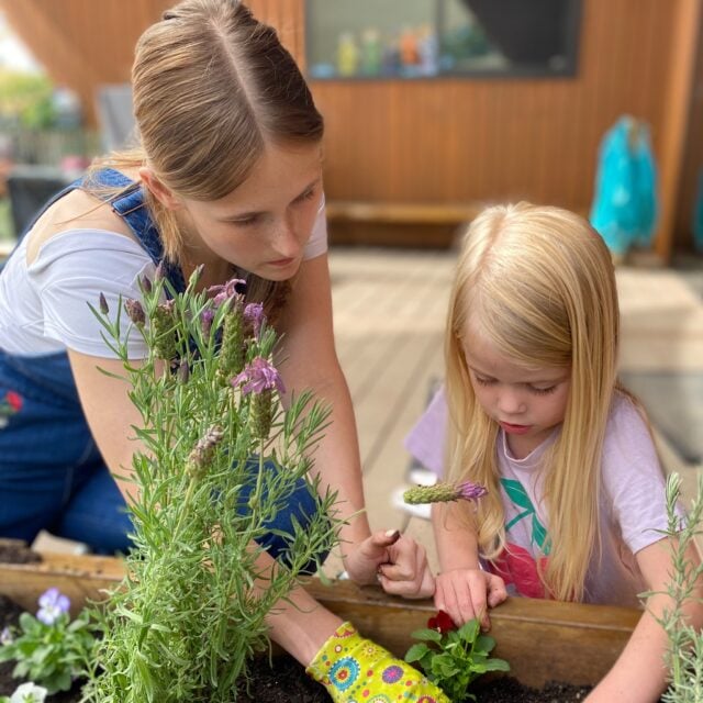 Gardening at Kindercare Paraparaumu is about more than watching seeds grow. It’s how our tamariki learn to care for the world around them. As they nurture plants, they’re also laying for themselves, foundations for connection, responsibility and respect for Papatūānuku 🌿 

#childcarenz #connection #kindercarenz #planting