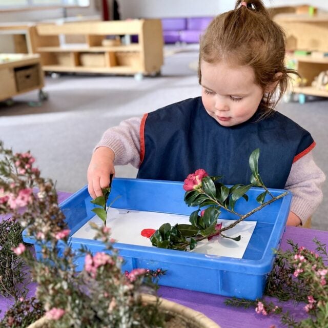 Creativity grounded in curiosity, where imagination begins to take form.
There’s deep thinking at work as tamariki explore art through te taiao, the natural world. Using plants and paint as tools, they are thinking about how these materials can be shaped, combined and expressed. #InspireMe at Kindercare Palmerston North.