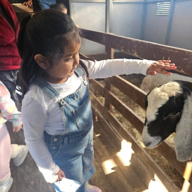 A special visit from Old McDonald’s Farm sparked curiosity at Kindercare Manurewa. As children interacted with the animals, they showed growing confidence while learning about kindness, respect and empathy. #InspireMe #InspireMe