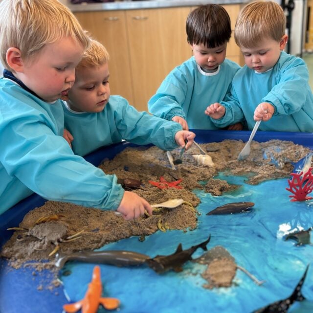 Children learn through their senses long before they can put their discoveries into words. Rich sensory experiences encourage curiosity, support developing brains, and create opportunities for tamariki to wonder about how the world works. #InspireMe at Kindercare Burwood.