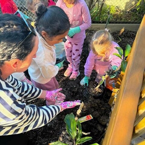 Inspired by the local history of King's Orchard in West Auckland, tamariki and whānau created their own apple orchard at Kindercare Henderson. By caring for something that will grow over time, they're developing a sense of connection, teamwork, and kaitiakitanga. #InspireMe