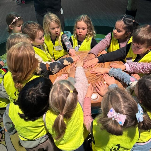 Big questions grow confident tamariki. Our preschoolers recently visited Te Papa. As they explored the natural world more closely, they’re built the language, curiosity, and respect for living things that turn wonder into real learning. This is The Kindercare Advantage in action, in our Karori community. #InspireMe