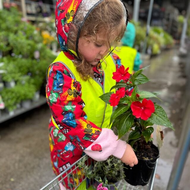 Pathways to School and Kura supports children’s transition to school, empowering tamariki to become confident life‑long learners. Recently, preschoolers at Kindercare Greenhithe visited Bunnings to gather materials for their Papatūānuku garden. Experiences like this help foster thinking through ideas, independence, and curiosity; all important foundations for starting school.

#bunningsnz #gardening #curiosity #kindercarenz #childcarenz