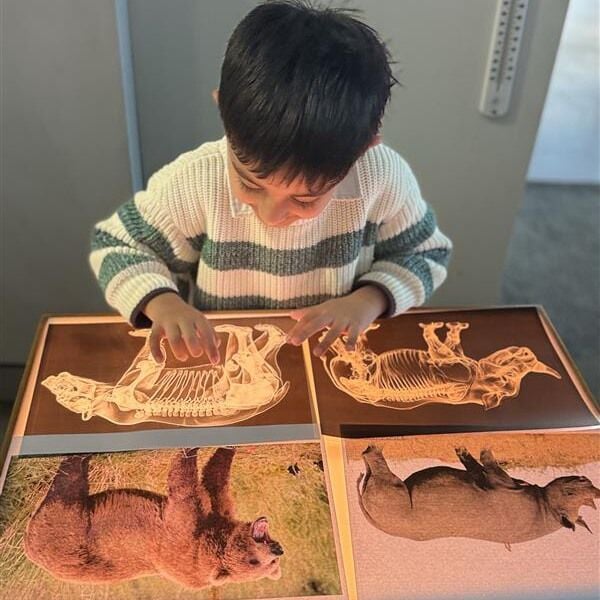 Tamariki at Kindercare Addington recently dived into the fascinating world of animal X-rays. Their curiosity sparked rich conversations as they examined different bones and skeletal structures. This hands-on exploration is part of The Kindercare Advantage, where we purposefully foster critical thinking, discovery, and a lifelong love for learning. 

Find out more about this centre here:  https://www.kindercare.co.nz/christchurch-childcare-centres/addington/