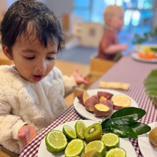 Tamariki at Kindercare Fairfield explore the colours and textures of kai in their natural state. Sensory experiences like this invite them to become familiar with different fruits and vegetables and build positive associations with them in this form.