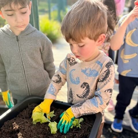There’s so much learning tucked into caring for a garden. As tamariki nurture their plants, they’re building patience, responsibility, and even learn about how nature’s rhythms shape the food we grow. #InspireMe at Kindercare Dannemora.